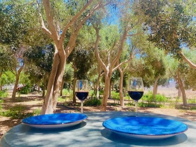 Olive Oasis Adults Only غران تاراغال