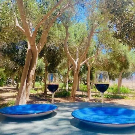 Olive Oasis Adults Only Gran Tarajal